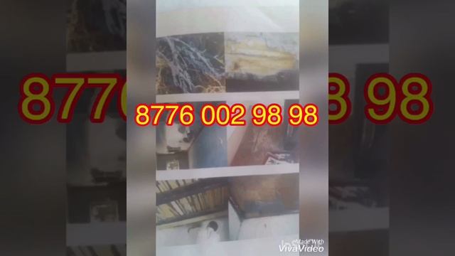 Термиты муравей Сары кумырска Термит уы Антитермит Термиттен калай кутылуга болад смотреть онлайн