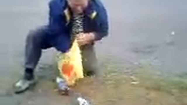 Искатели золота gold seekers смотреть онлайн