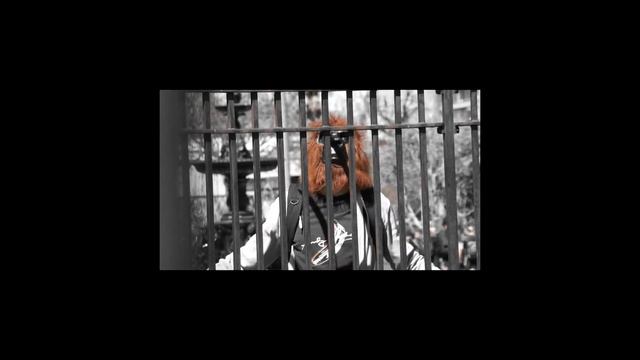 New World Irritant - Saru G смотреть онлайн