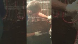 устройства теплого пола на стену.