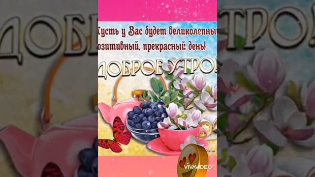 С Добрым утром! Хорошего настроения!