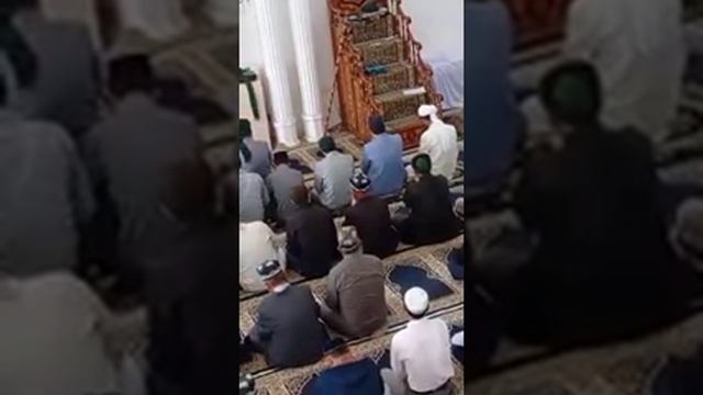 Мавлуд пророка Муҳаммад мир ему и благословение Аллаха #подпишись #ислам #nasheed #qoran