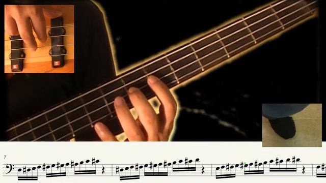 Baixo (Fraseado Básico) 1| Bass (Basic Phrasing) 1 |一：バス　の　基本［きほん］　な　言葉遣い［ことばづかい］ смотреть онлайн