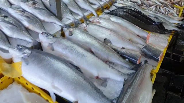 Рыбный рынок в Батуми смотреть онлайн