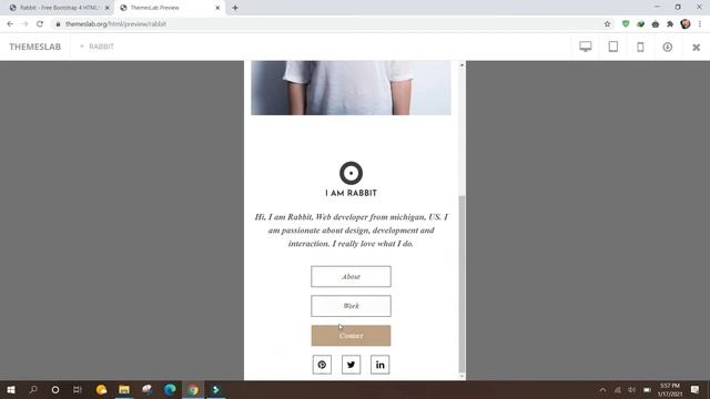 Rabbit : Free Bootstrap 4 HTML5 Personal Portfolio Website Template смотреть онлайн