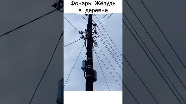 Фонарь Жёлудь в деревне #электричество #фонари #уличныйфонарь#уличноеосвещение#россети#фонарьжелудь смотреть онлайн