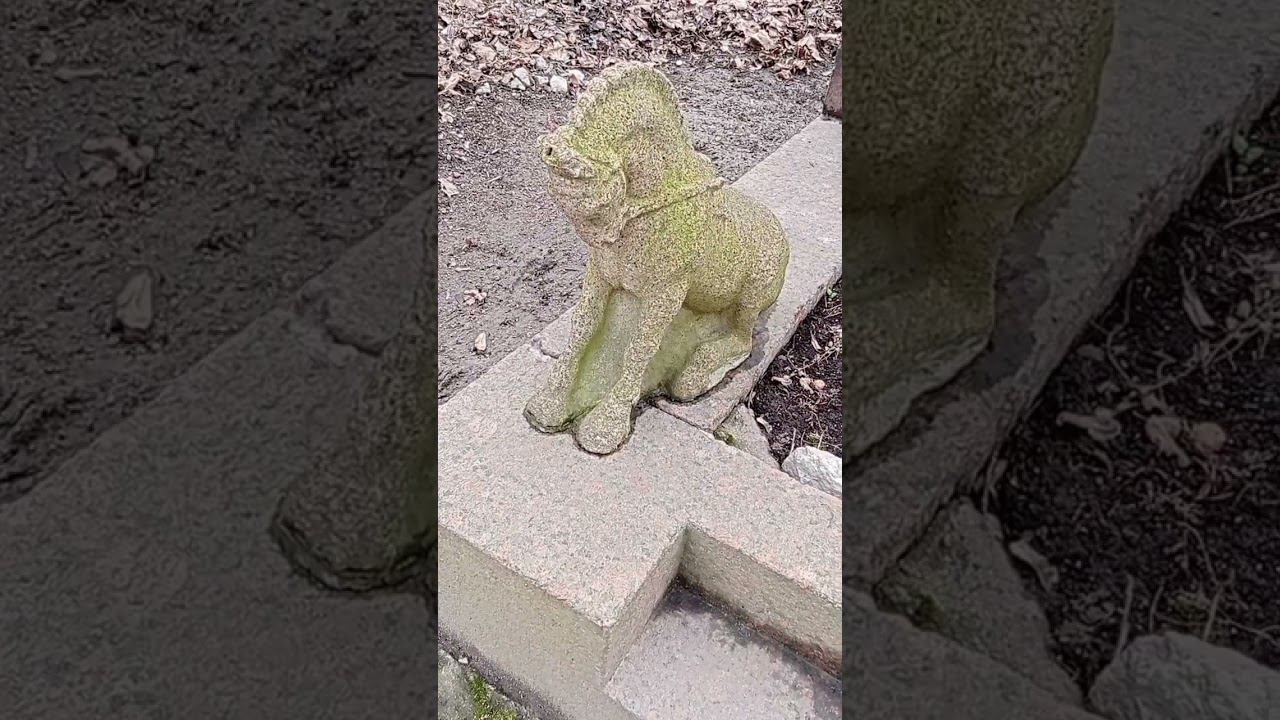 Байки из склепа. Цирковой артист Вильямс Жижжетович Труцци. Литераторские мостки. Санкт-Петербург. смотреть онлайн