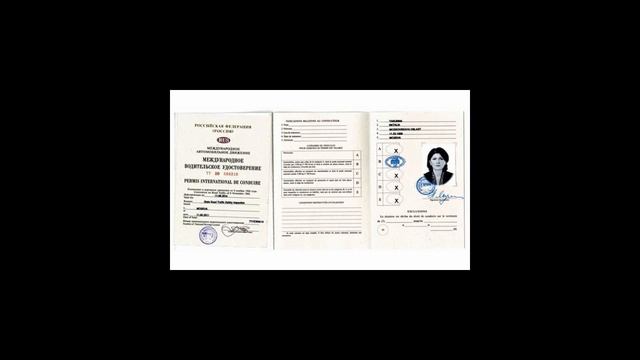 Международные водительские права: как получить смотреть онлайн