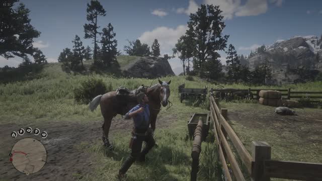 RDR 2