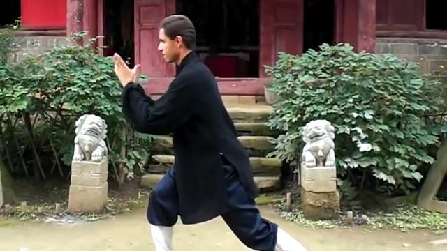 WUDANG CHUN YANG LONGEVITY QIGONG 1st Section смотреть онлайн