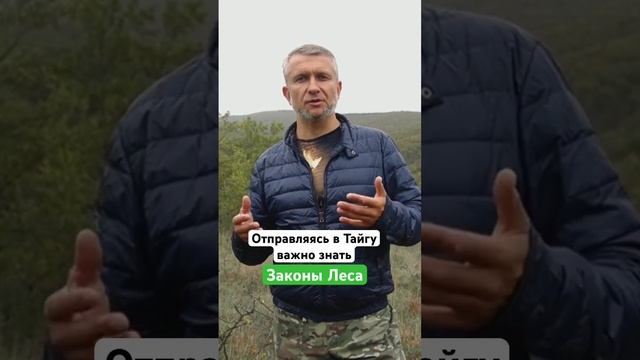 Почему отправляясь в Тайгу важно знать законы леса? #тайга #мотивация #дисциплина смотреть онлайн