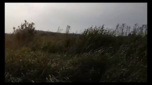 Рыбалка, Некрасовский район, рядышком с рекой Солоницей. И этому рады)