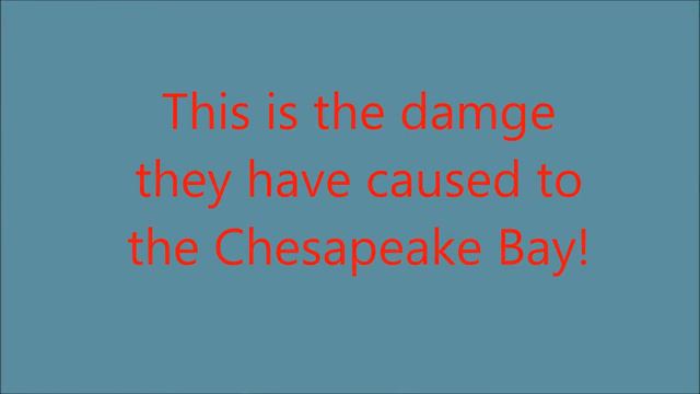 Bay Invasive Species смотреть онлайн