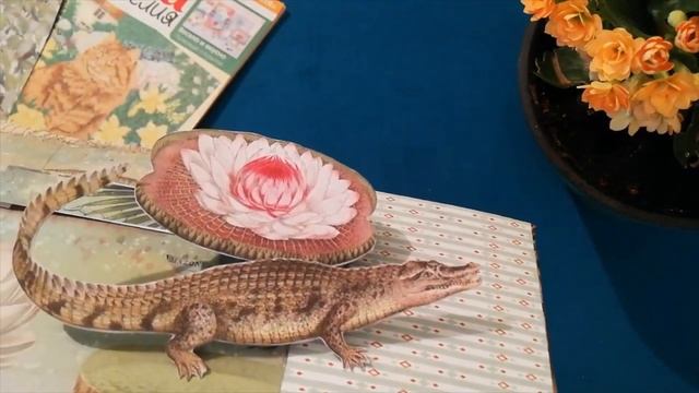 Экзотика! поп ап смотреть онлайн