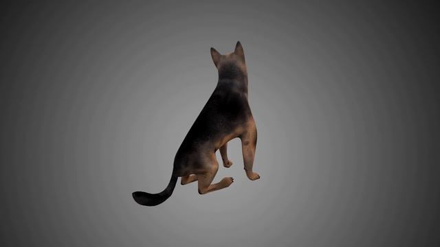German Shepherd 3D Model смотреть онлайн