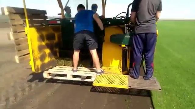 Рулонный газон Днепропетровск