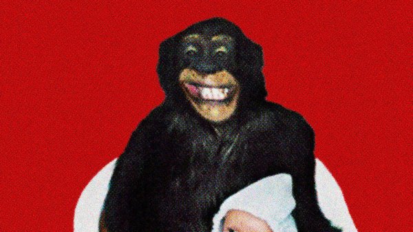 ОН РАЗОРВАЛ НА ЧАСТИ ЛИЦО И ТЕЛО \\ ИСТОРИЯ ШИМПАНЗЕ ТРЭВИСА