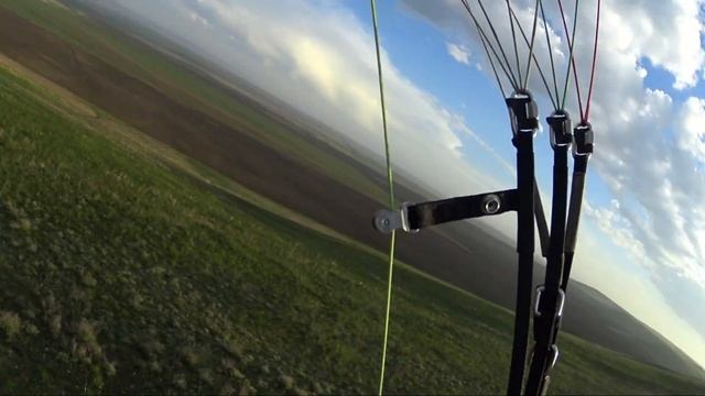 Птица счастья...! смотреть онлайн