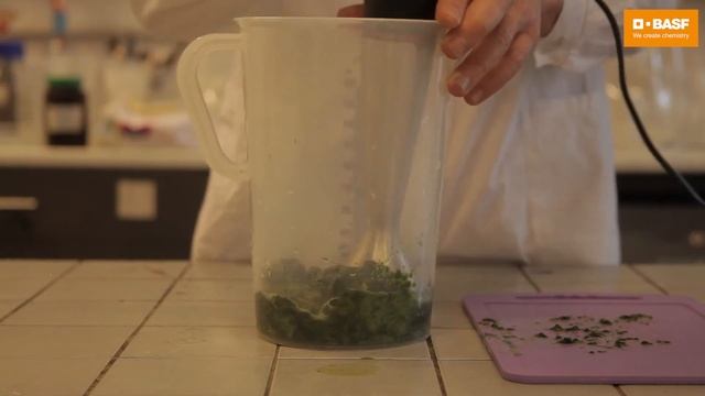 BASF Kid's Lab. Натуральные пищевые красители. смотреть онлайн