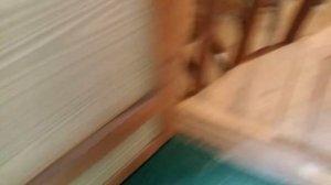 Мой первый брудер для циплят из старого ящика-сундука.