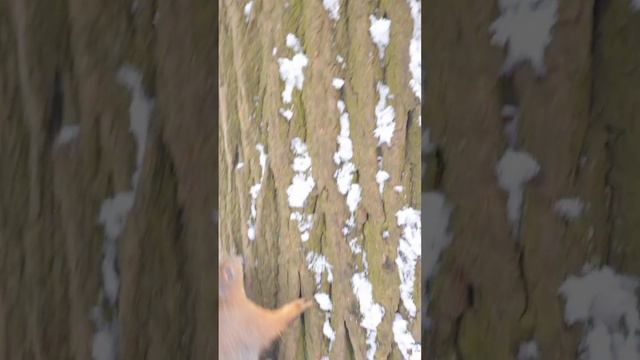 Ромео Елагин смотреть онлайн