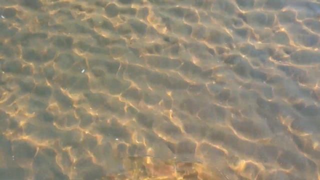 #АНАПА - 6.30 УТРА - ВОЗДУХ ХОЛОДНЫЙ - МОРЕ ТЕПЛЕЕ!!! 2.09.2019