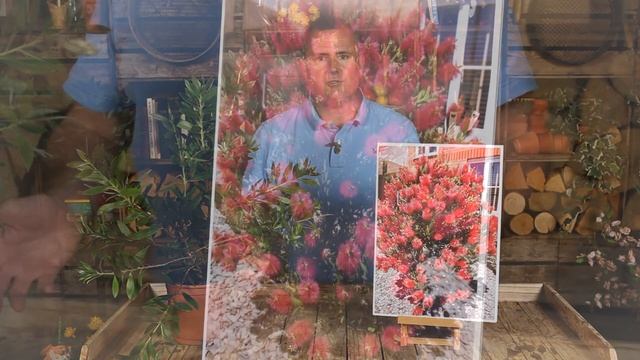 Callistemon Citrinus with Peter McDermott смотреть онлайн