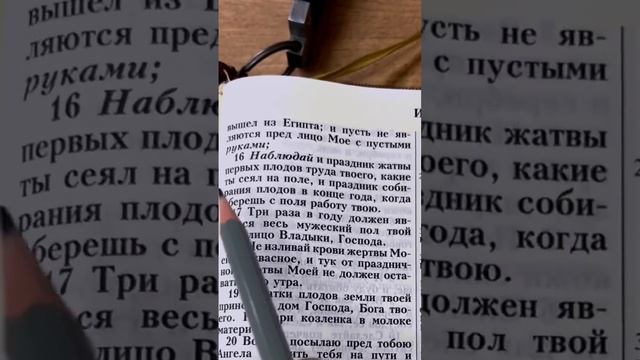 Значение праздника жатвы смотреть онлайн
