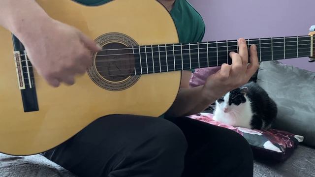 "DON'T DREAM IT'S OVER" for SOPHIE смотреть онлайн