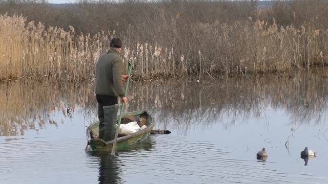 ВЕСЕННЯЯ ОХОТА 2023!!! ВЕСЕННЯЯ ОХОТА НА УТКУ!!! ОХОТА С ПОДСАДНЫМИ И ЧУЧЕЛАМИ!!! смотреть онлайн