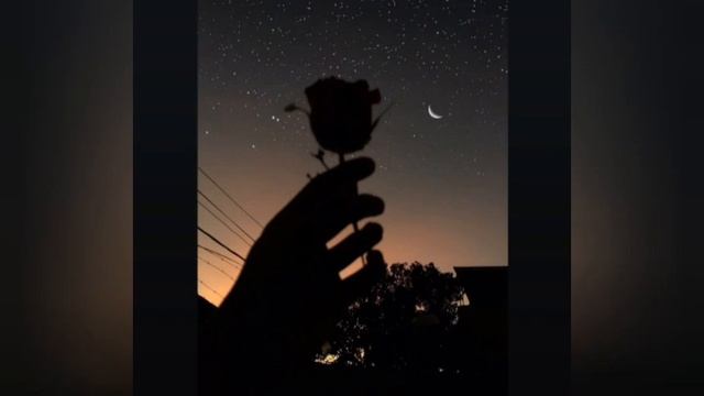 Меладзе - Салют Вера (slowed) смотреть онлайн