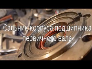 Потекло масло у первичного вала. Замена сальника корпуса подшипника первичного вала. Кппгазельбизнес
