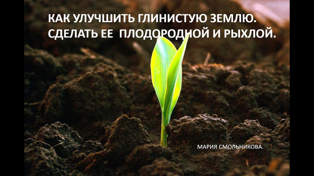 Как улучшить глинистую землю.Сделать ее плодородной и рыхлой. смотреть онлайн