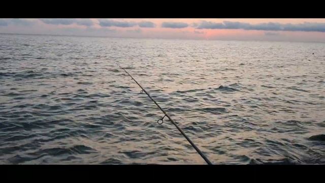 Раздача горбыля/мои первые тёмный и светлый горбыли/рыбалка на черном море/rockfishing/black sea смотреть онлайн