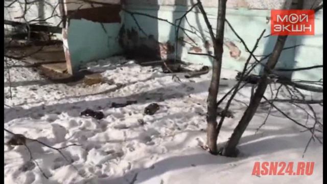 Из окна благовещенской многоэтажки уже не первый год выбрасывают пивные бутылки смотреть онлайн
