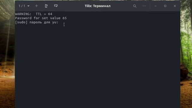 Bash script установка TTL 65 смотреть онлайн