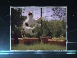 Спорт - это наука