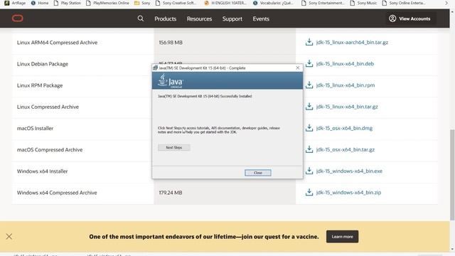 Installing Java SE JDK 15 ( Windows 10 ) смотреть онлайн