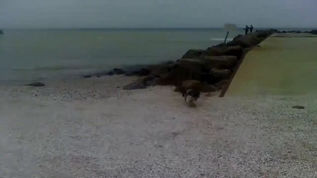 Красота вокруг нас: Таки и море 1 смотреть онлайн