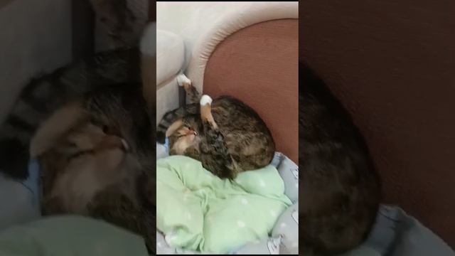 тг:симбочка-милочка