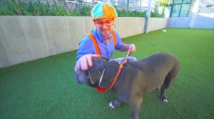 Blippi Visits a Science Museum! | Blippi | Animals for Kids