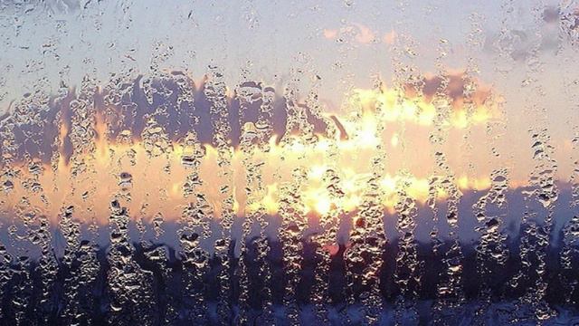 Осип Мандельштам - Дождик ласковый, мелкий и тонкий (читает Алексей Мандельштам)