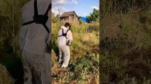 Обзор аккумуляторного триммера ProCraft