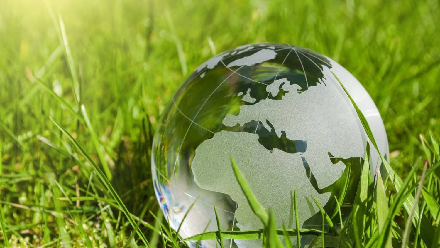 Экология Экосистем (часть 1) смотреть онлайн