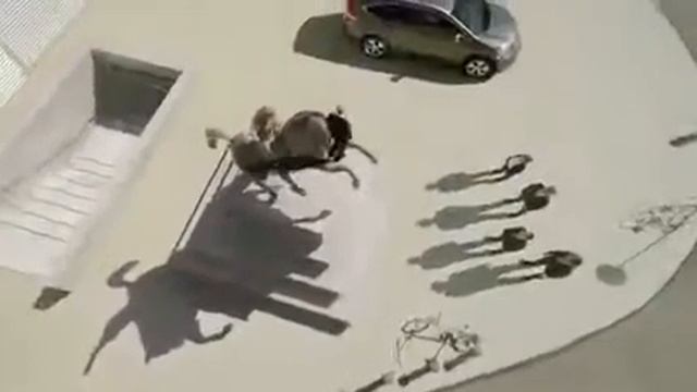 3d наклейки на асфальте для Honda смотреть онлайн