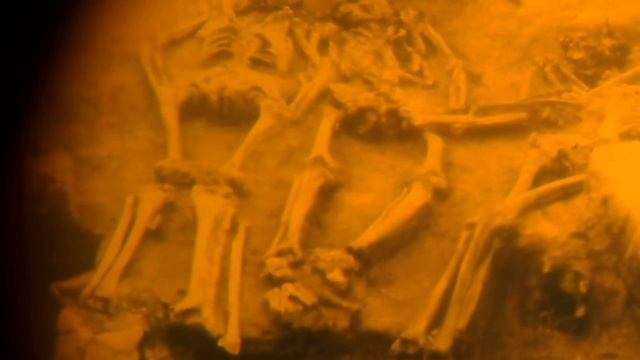 Museo Cuevas de Altamira смотреть онлайн