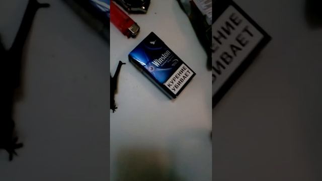 Домашний карликовый нетопырь. смотреть онлайн