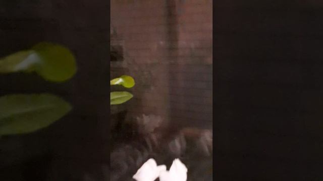 06.12.2022. Сон. День защитников...отец снился. смотреть онлайн