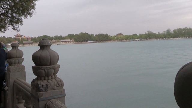 Желе своими руками: простые рецепты