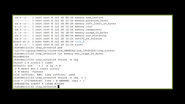 DIY job monitoring, from cache misses to CO2 footprint смотреть онлайн